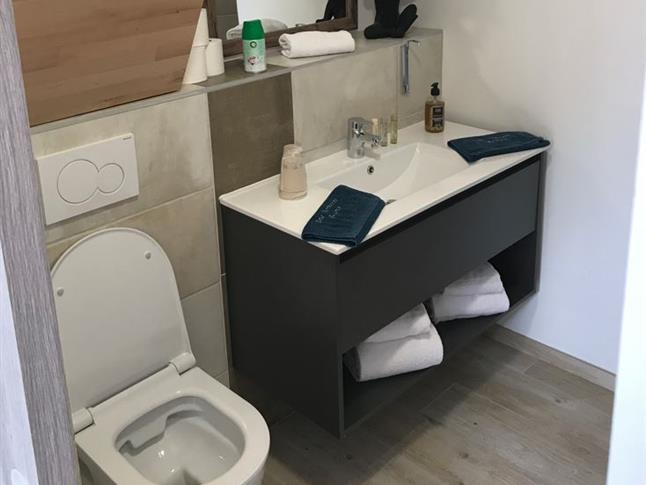 Salle de bain suite jardin